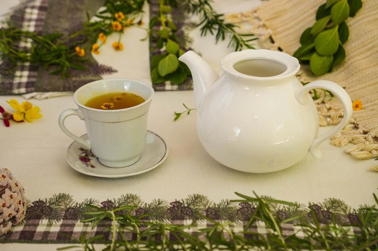 Ecohotel Otrolado Lodge Los Andes  エクステリア 写真